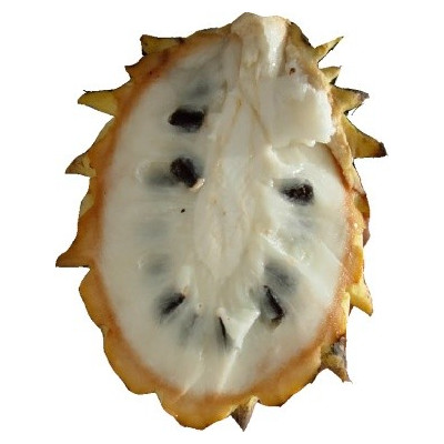 ROLLINIA deliciosa (Annona deliciosa) 4 semena    