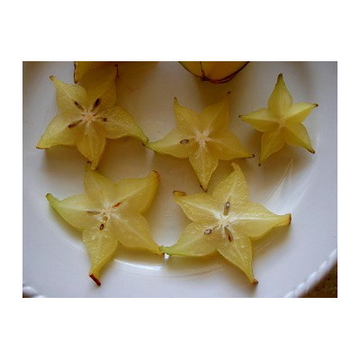 AVERRHOA carambola "Karambola” 5 semen