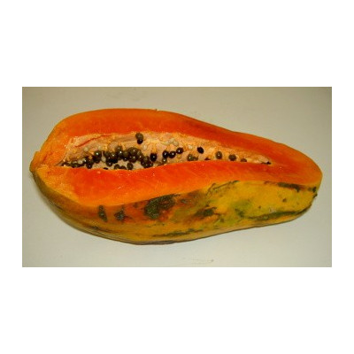 CARICA papaya "Melounový strom" 7 semen