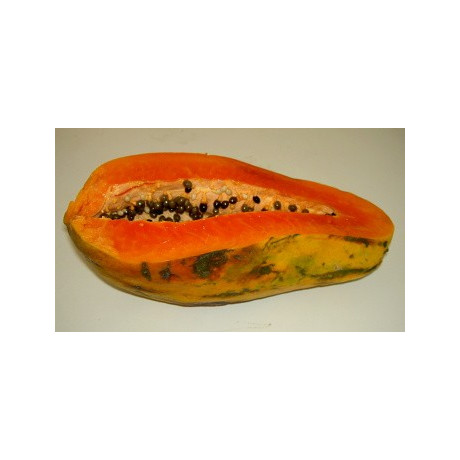 CARICA papaya "Melounový strom" 7 semen