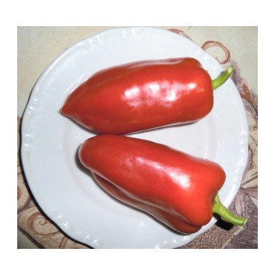 PAPRIKA zeleninová Stalagnit (Capsicum annuum) 10 semen