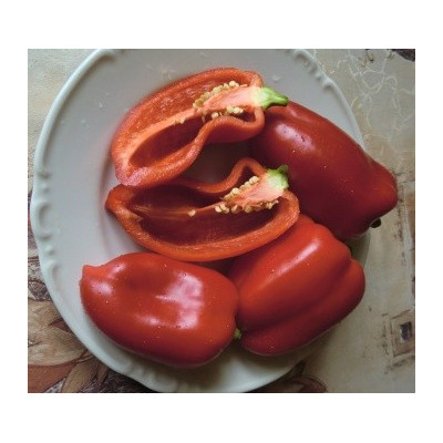PAPRIKA zeleninová Stalagnit (Capsicum annuum) 10 semen