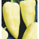 PAPRIKA zeleninová Monanta (Capsicum annuum L) 10 semen.