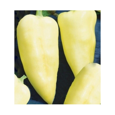 PAPRIKA zeleninová Monanta (Capsicum annuum L) 10 semen.