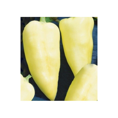 PAPRIKA zeleninová Monanta (Capsicum annuum L) 10 semen.