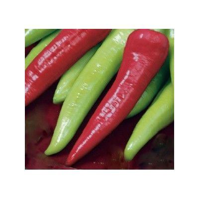 PAPRIKA zeleninová Sharon (F1) (Capsicum annuum) 10 semen