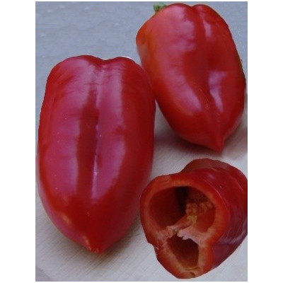 PAPRIKA zeleninová Rubinova (Capsicum annuum L.) 20 semen