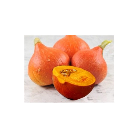 TYKEV velkoplodá Hokkaido Orange (Cucurbita maxima Duchesne) 5 semen