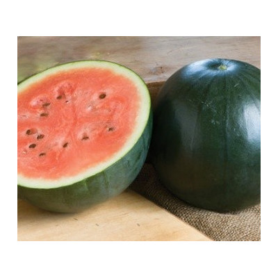 MELOUN vodní Sugar Baby (Citrullus lanatus) 10 semen