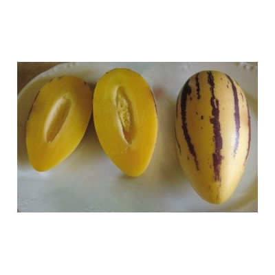 SOLANUM muricatum Gigant "Pepino" 8 semen