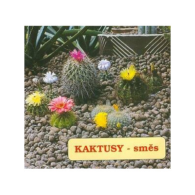 KAKTUSY Mix 50 semen