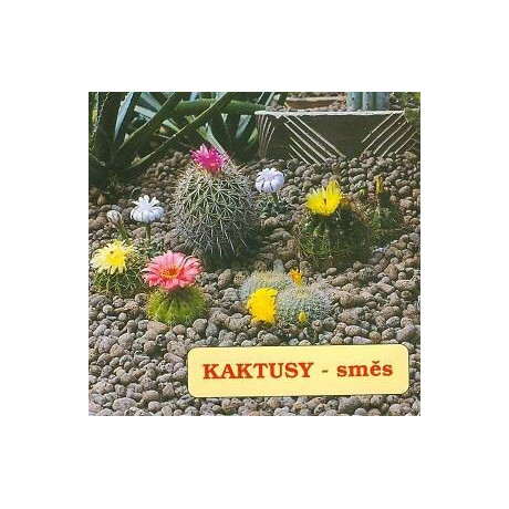 KAKTUSY Mix 50 semen