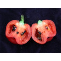 Paprika chilli Rocoto Red (Capsicum pubescens) 10 semen