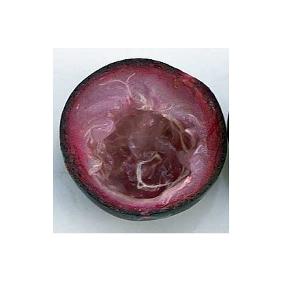 EUGENIA floribunda "Guavaberry" 4 semena