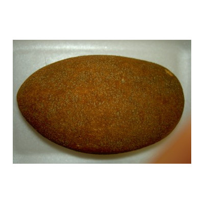 MANILKARA zapota "Sapodilla" 2 semena