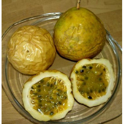 PASSIFLORA edulis f. flavicarpa 5 semen