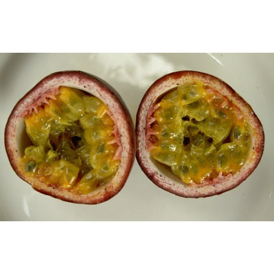 PASSIFLORA edulis 5 semen