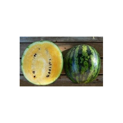 MELOUN Sorbet Swirl (F1) (Citrullus lanatus var. lanatus) 5 semen