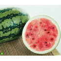 MELOUN Sweet Favorite (F1)  (Citrullus lanatus var. lanatus) 5 semen