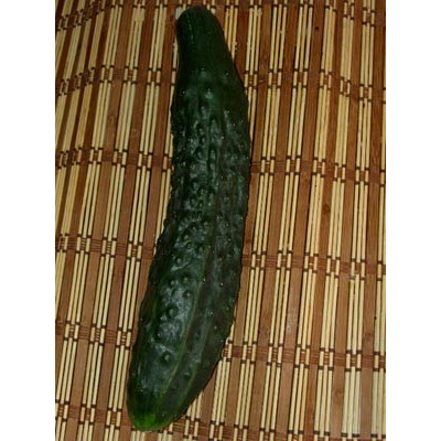 OKURKA Tasty Green 10 semen