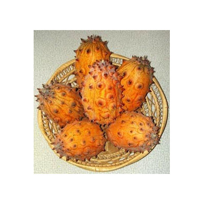 KIWANO ( Cucumis metuliferus)  8 semen