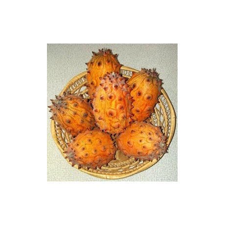 KIWANO ( Cucumis metuliferus)  8 semen