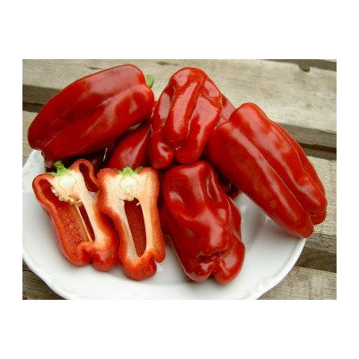 PAPRIKA Redskin 10 semen