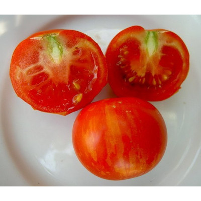 RAJČE Tigerella 15 semen